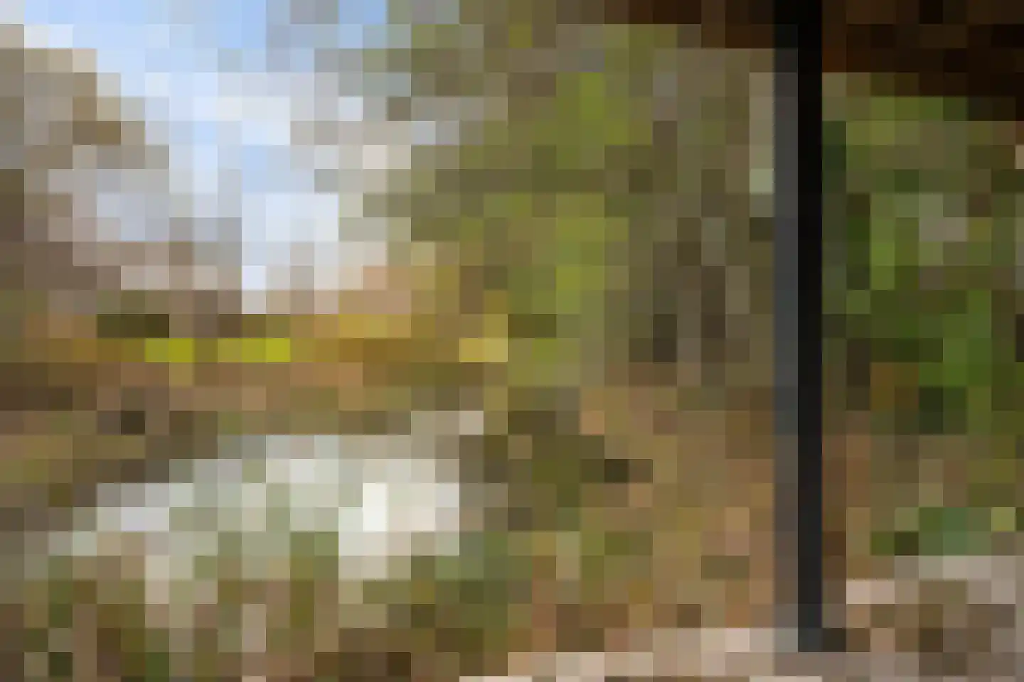 Middendorp 24 Schoonebeek thumbnail 50