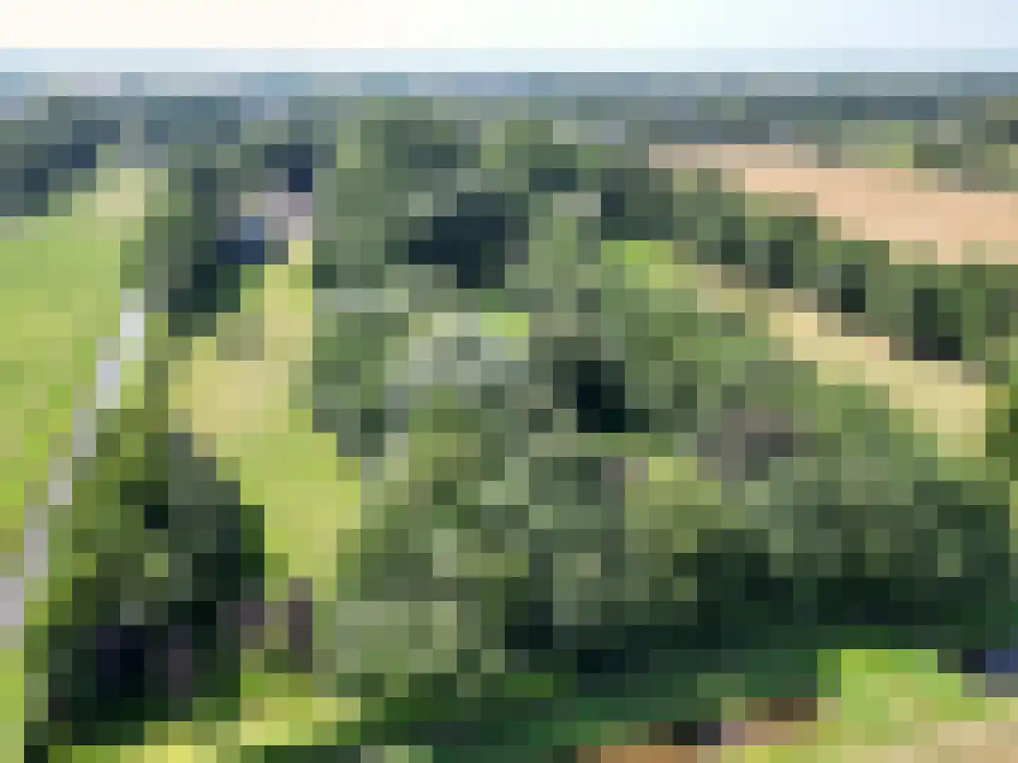 Middendorp 24 Schoonebeek thumbnail 52