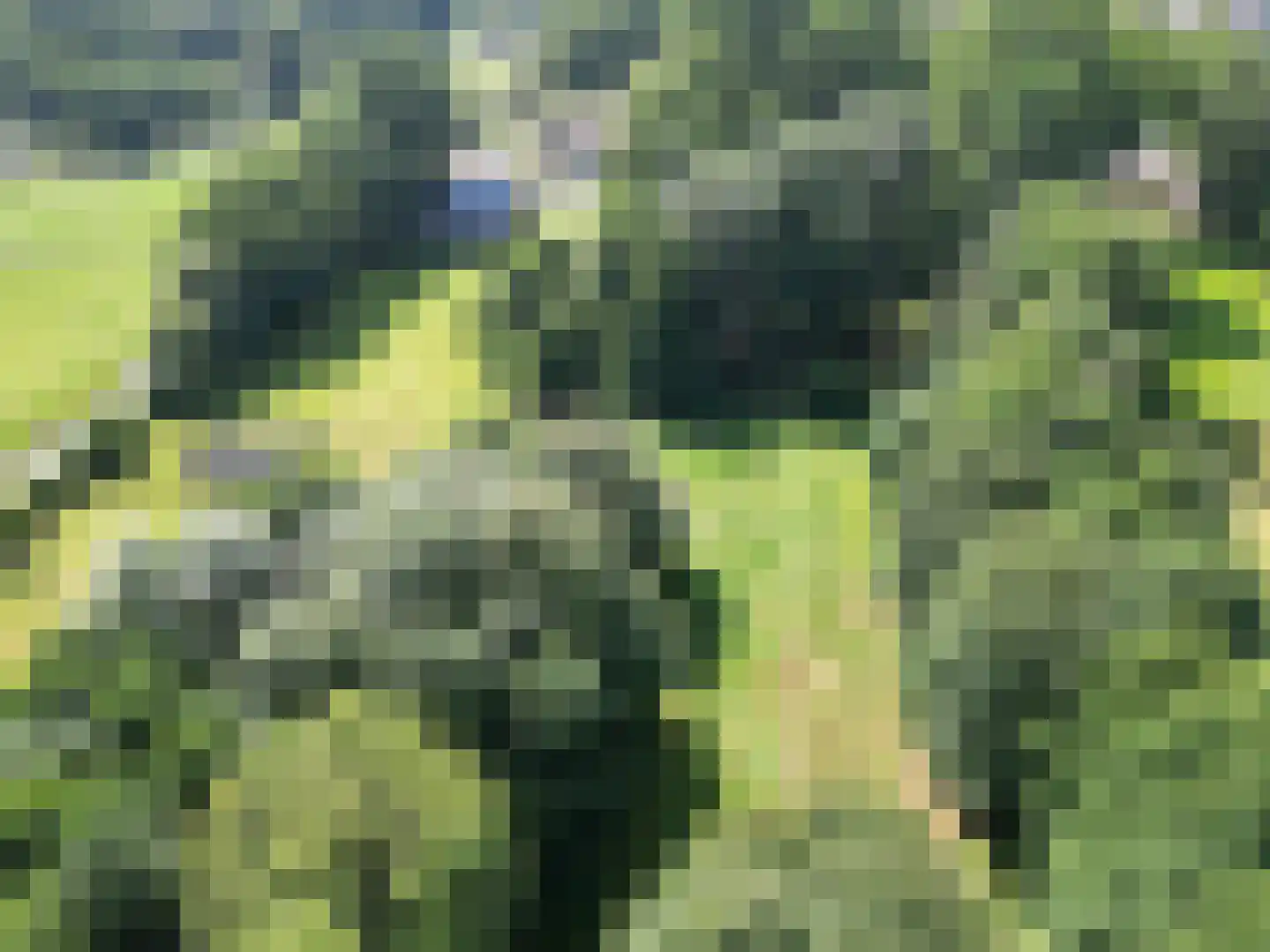 Middendorp 24 Schoonebeek thumbnail 53