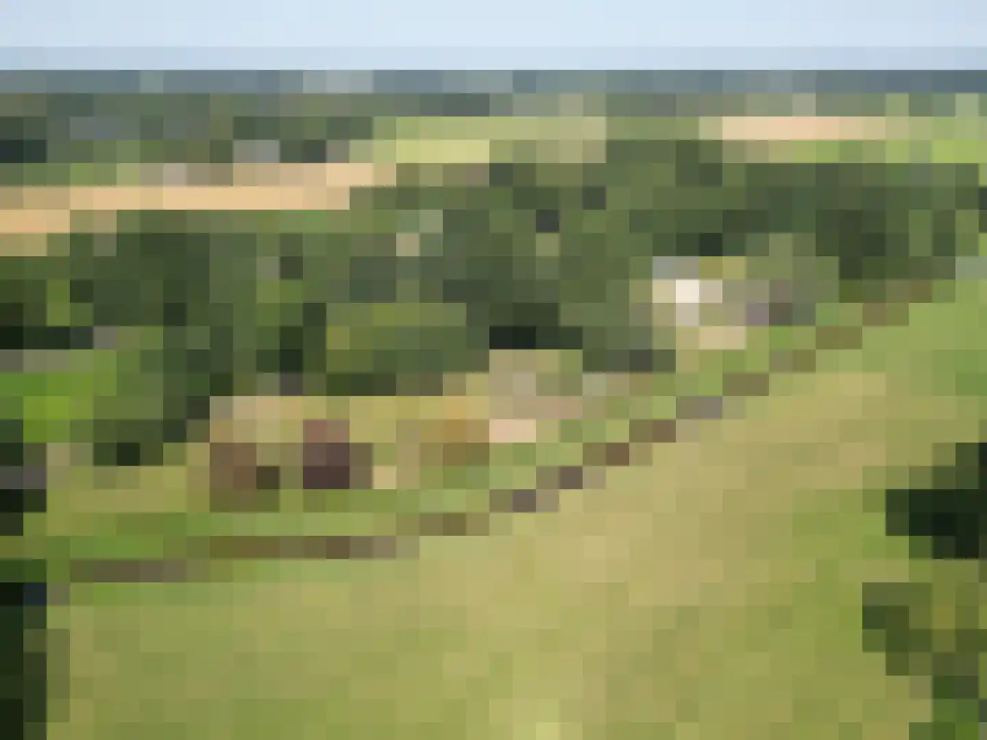 Middendorp 24 Schoonebeek thumbnail 54