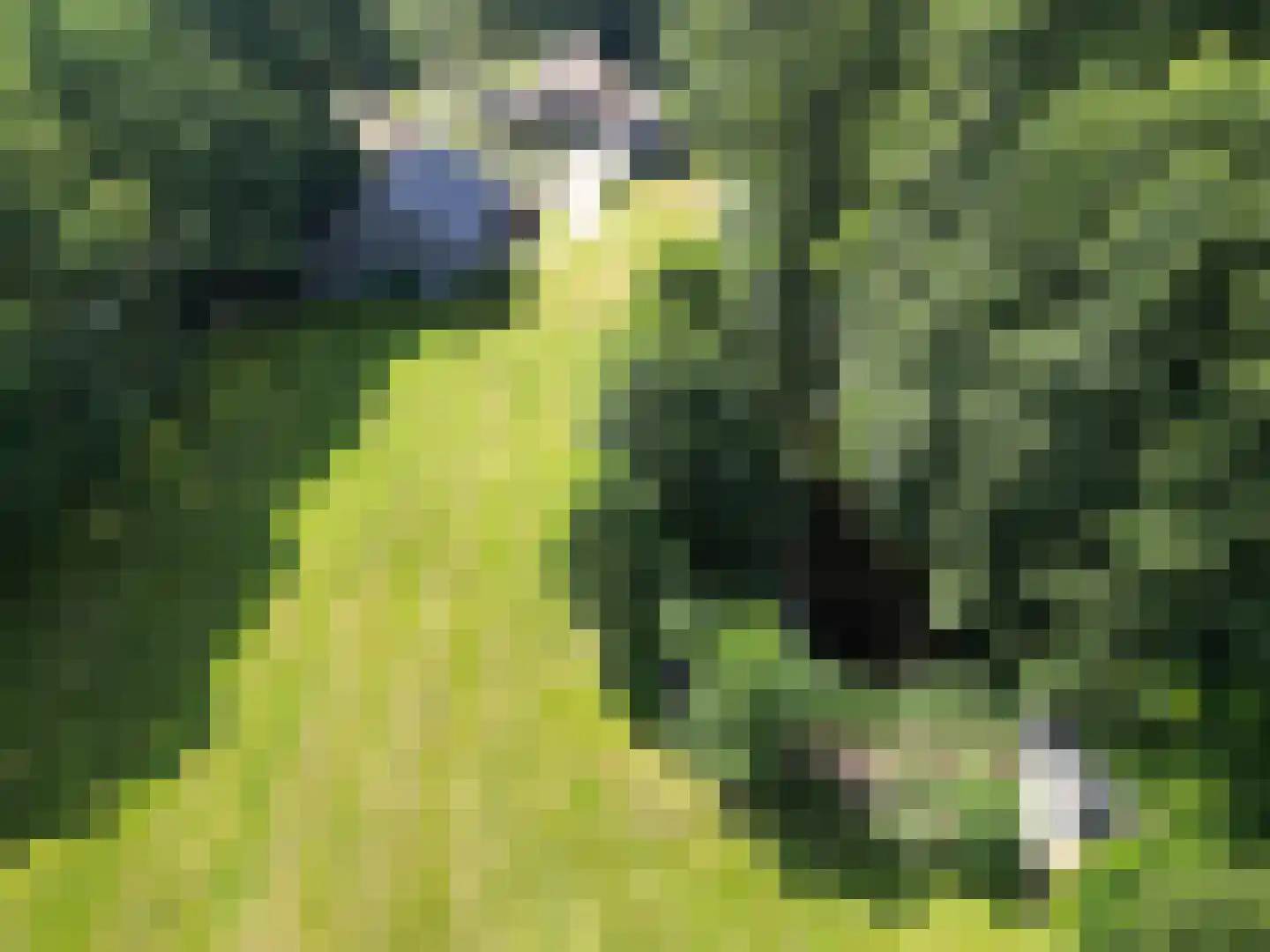 Middendorp 24 Schoonebeek thumbnail 55