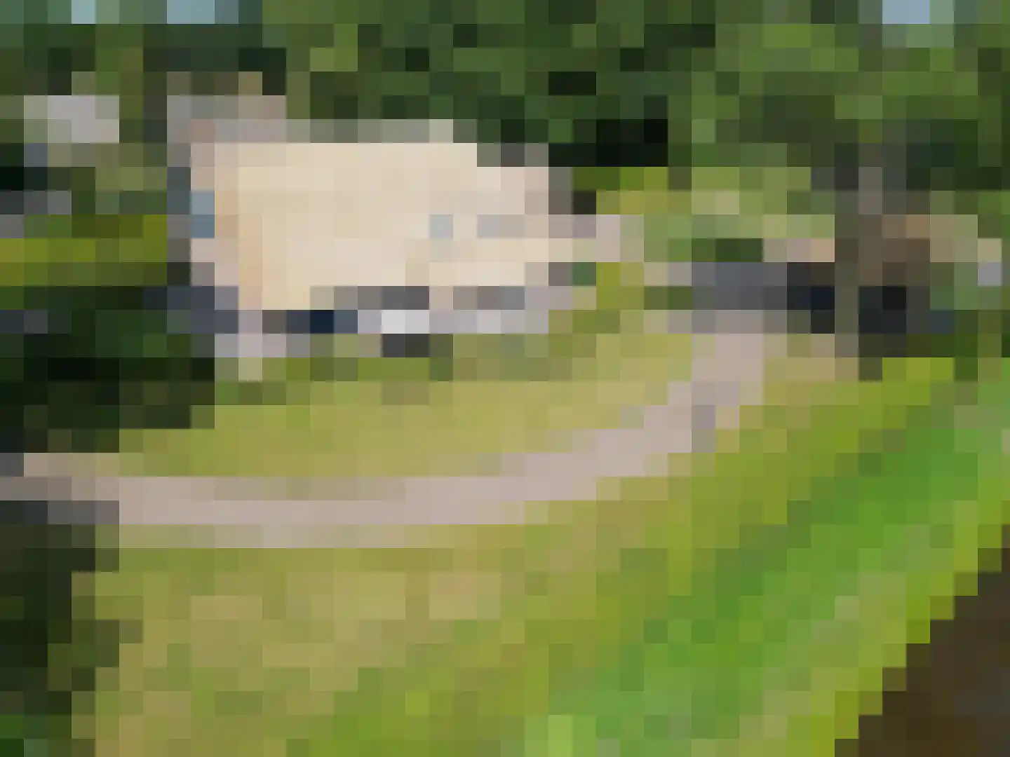 Middendorp 24 Schoonebeek thumbnail 56