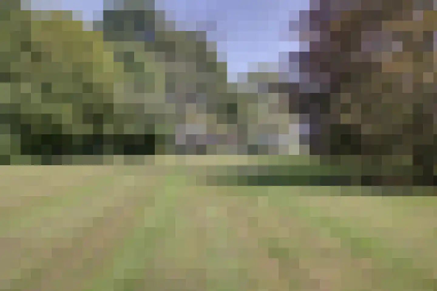 Middendorp 24 Schoonebeek thumbnail 62