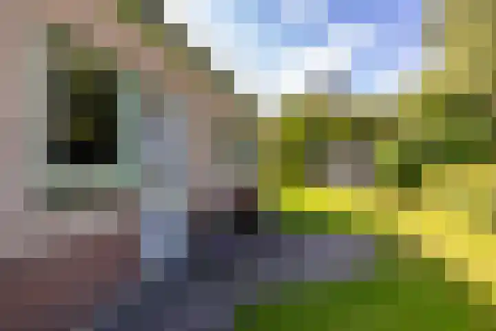 Middendorp 25 Gieten thumbnail 10
