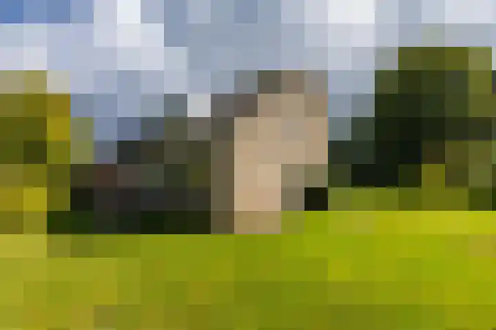 Middendorp 25 Gieten thumbnail 11
