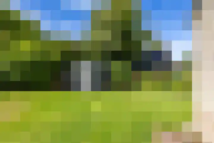 Middendorp 25 Gieten thumbnail 13