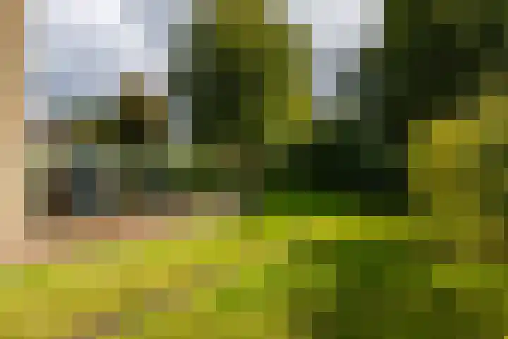 Middendorp 25 Gieten thumbnail 14