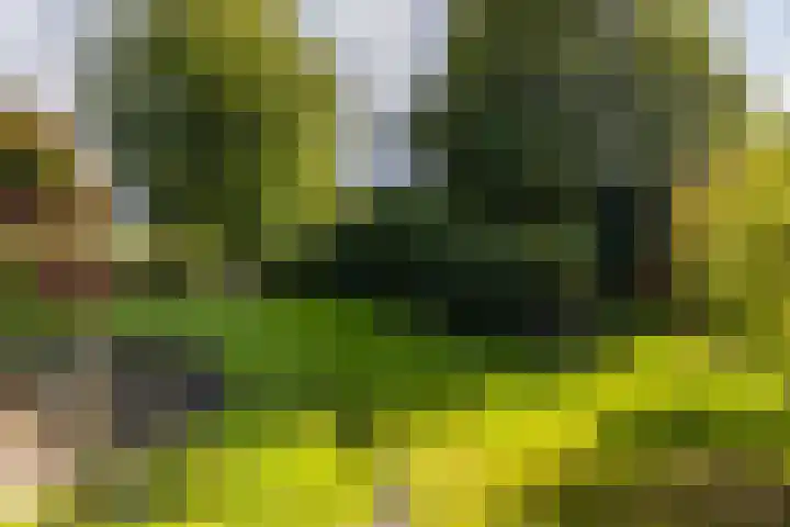 Middendorp 25 Gieten thumbnail 15