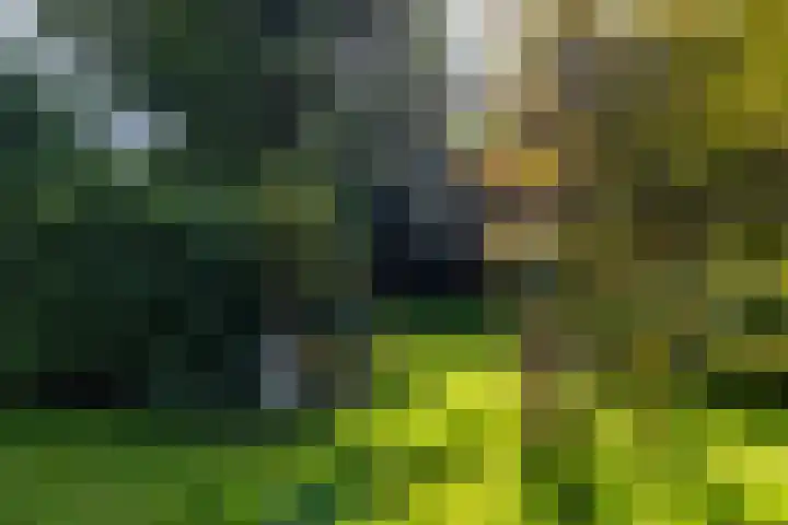 Middendorp 25 Gieten thumbnail 16