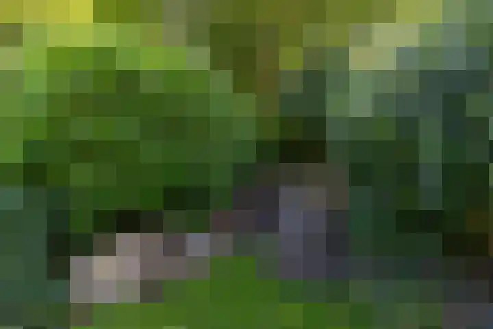 Middendorp 25 Gieten thumbnail 17