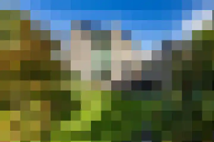 Middendorp 25 Gieten thumbnail 18