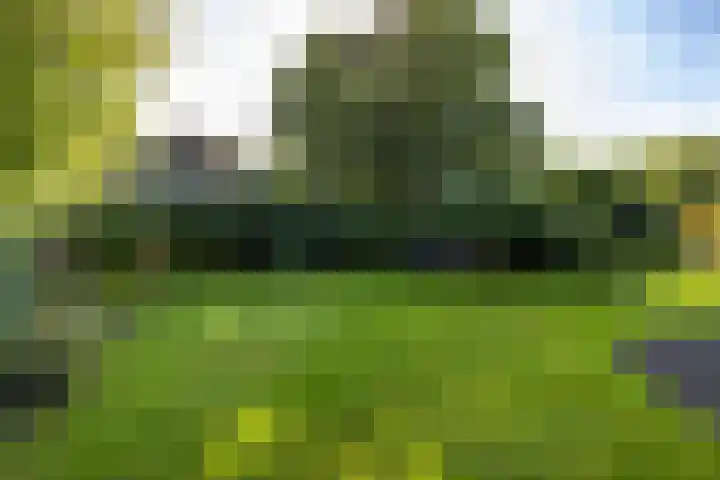 Middendorp 25 Gieten thumbnail 22