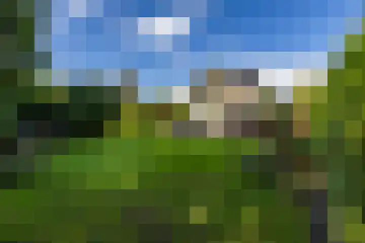 Middendorp 25 Gieten thumbnail 23