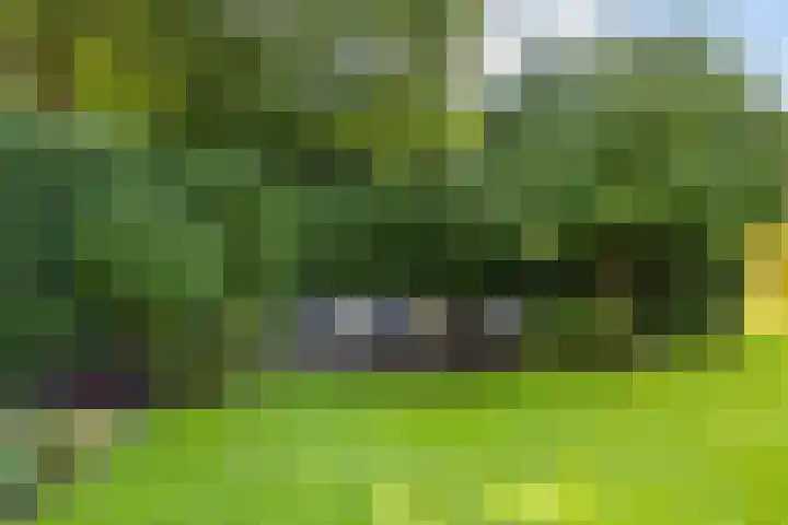 Middendorp 25 Gieten thumbnail 24