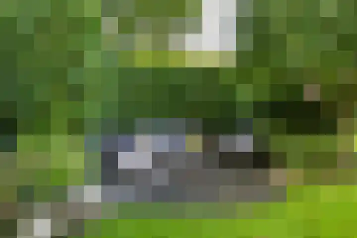 Middendorp 25 Gieten thumbnail 25