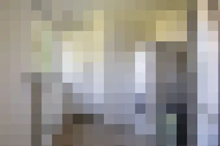 Middendorp 25 Gieten thumbnail 34