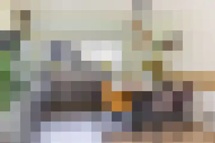 Middendorp 25 Gieten thumbnail 37