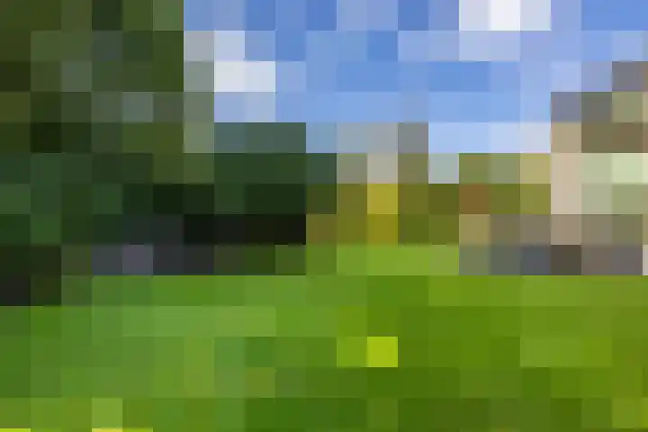 Middendorp 25 Gieten thumbnail 4