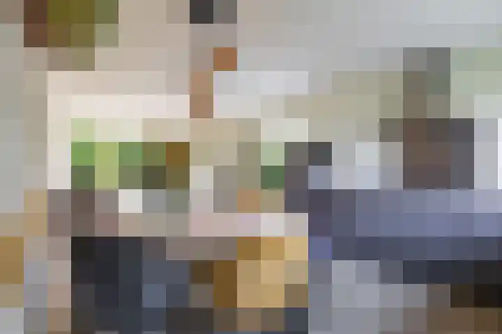 Middendorp 25 Gieten thumbnail 42