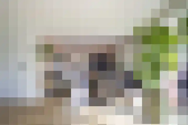 Middendorp 25 Gieten thumbnail 45