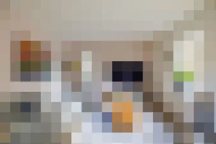 Middendorp 25 Gieten thumbnail 47