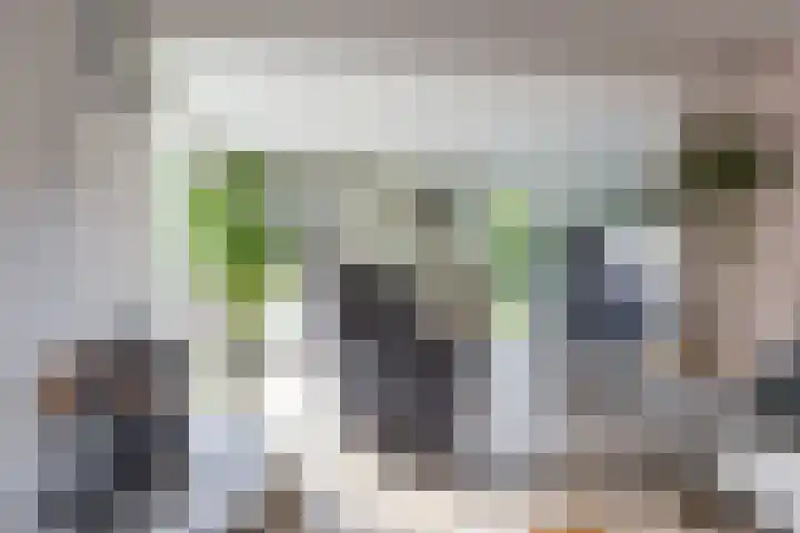 Middendorp 25 Gieten thumbnail 49