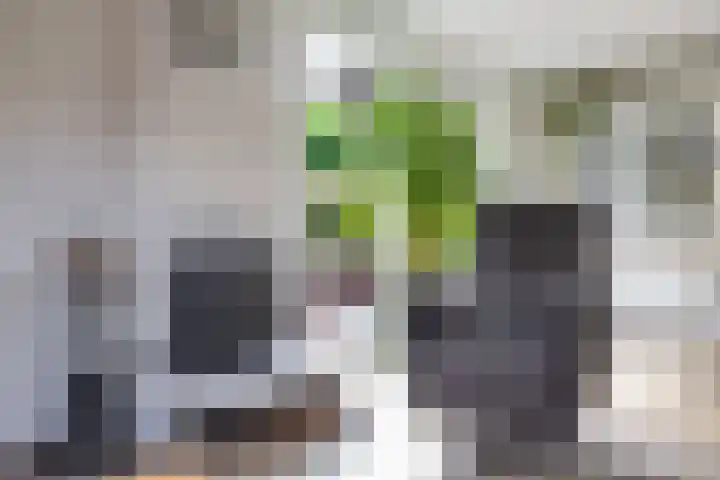 Middendorp 25 Gieten thumbnail 50
