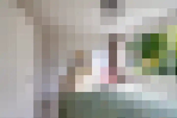 Middendorp 25 Gieten thumbnail 54