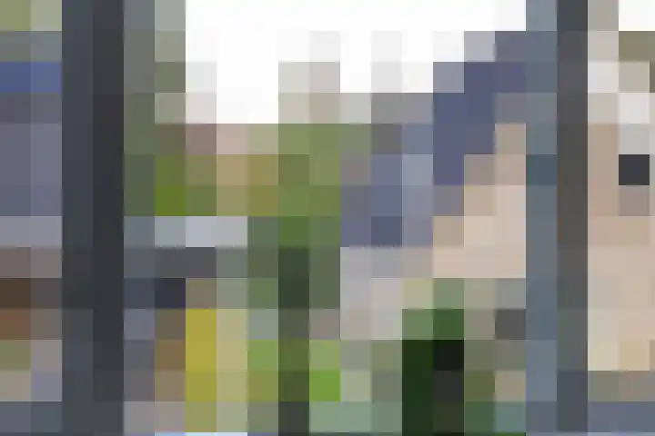 Middendorp 25 Gieten thumbnail 59