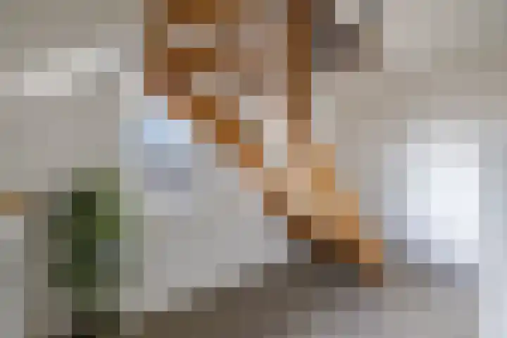 Middendorp 25 Gieten thumbnail 63