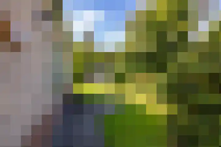 Middendorp 25 Gieten thumbnail 9