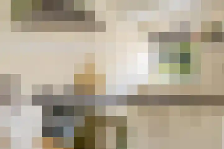 Middendorpsstraat 12 Meppen thumbnail 22