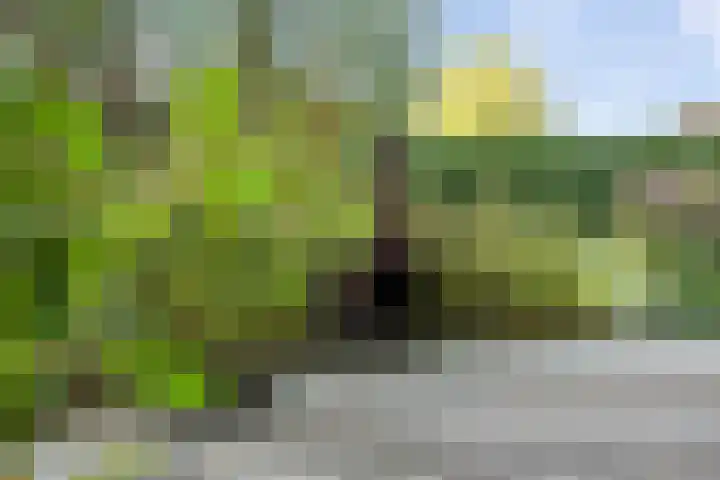 Middendorpsstraat 12 Meppen thumbnail 54