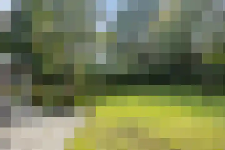 Middendorpsstraat 12 Meppen thumbnail 55