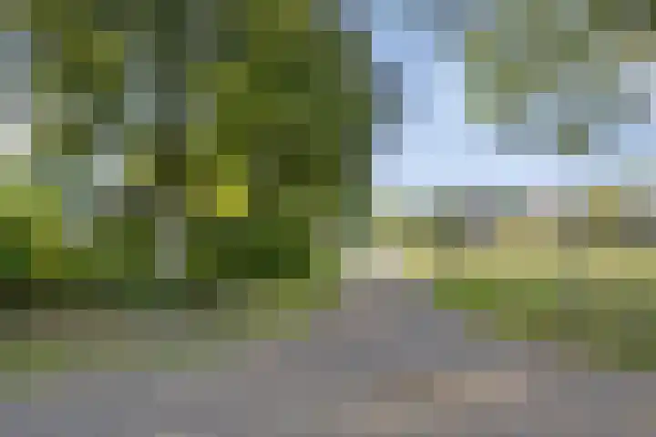 Middendorpsstraat 12 Meppen thumbnail 61