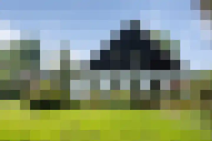 Middendorpsstraat 12 Meppen thumbnail 7