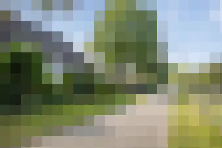 Middendorpsstraat 12 Meppen thumbnail 8