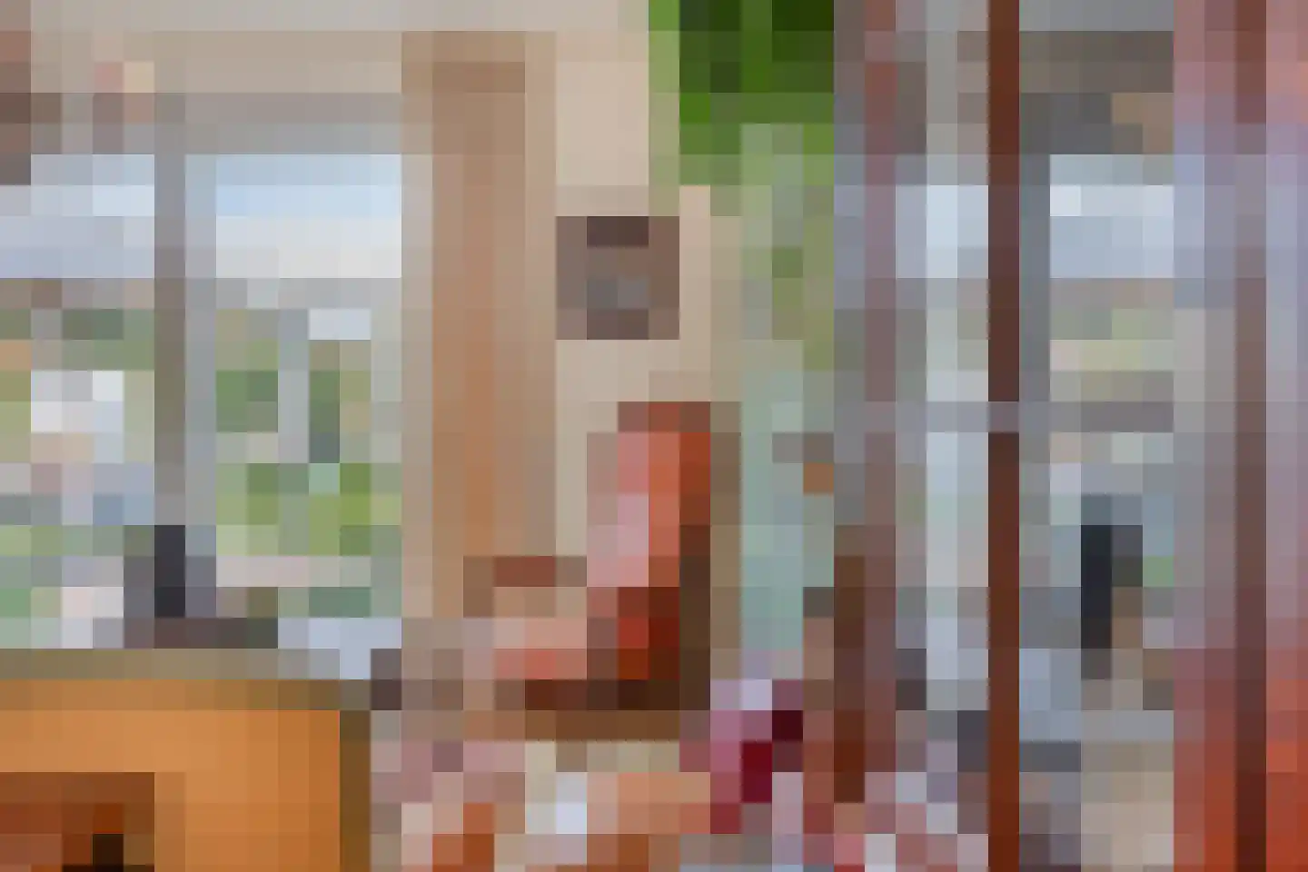 Middendorpstraat 32 Tilburg thumbnail 12