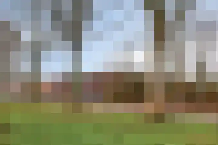 Middendorpstraat 32 Tilburg thumbnail 65