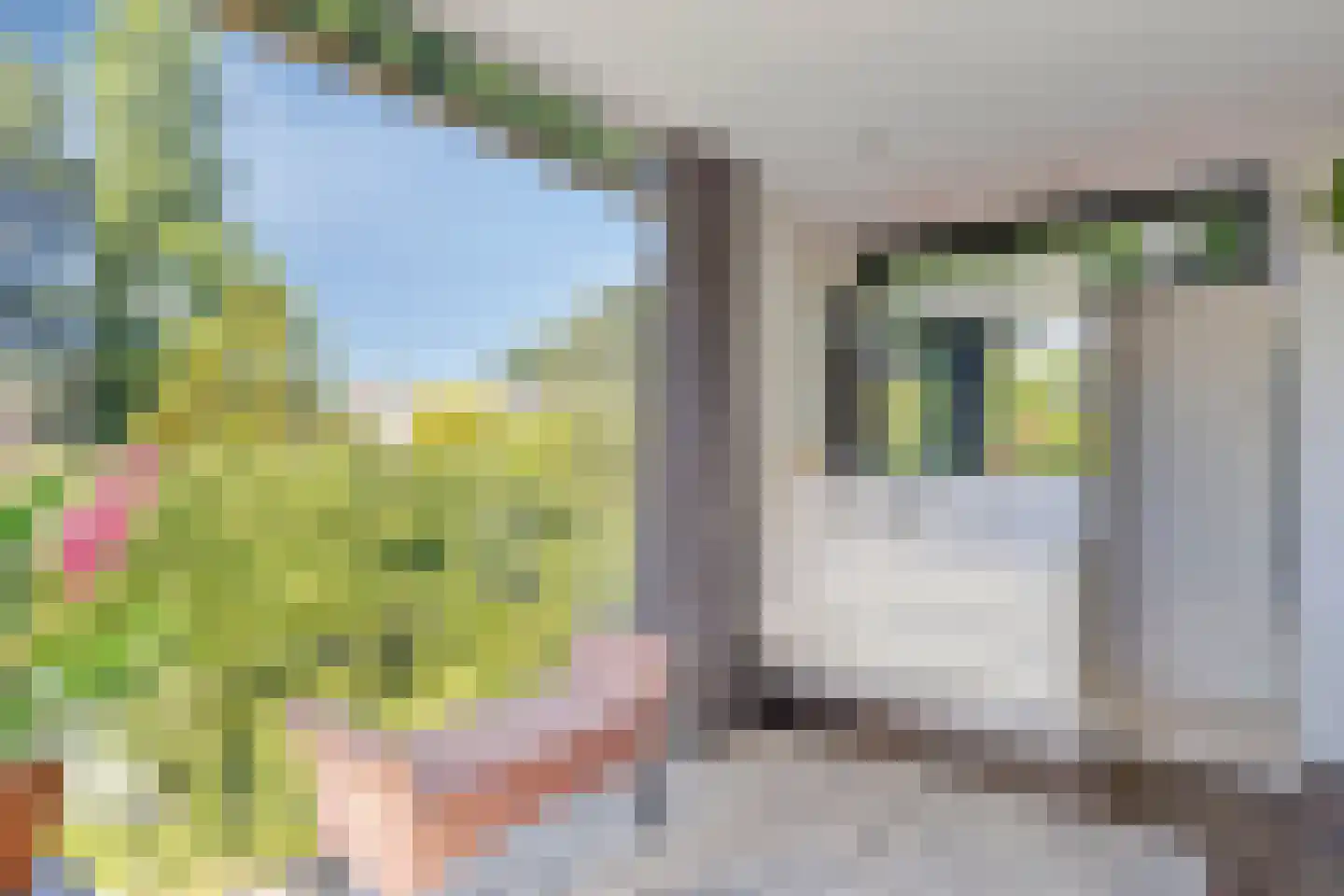 Middenduinerweg 10 Santpoort-Noord thumbnail 37