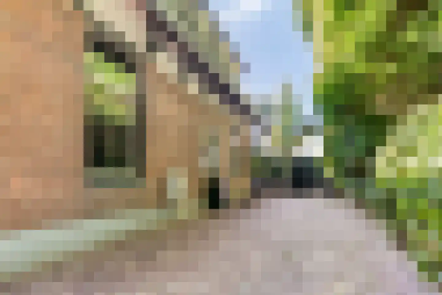 Middenduinerweg 10 Santpoort-Noord thumbnail 4