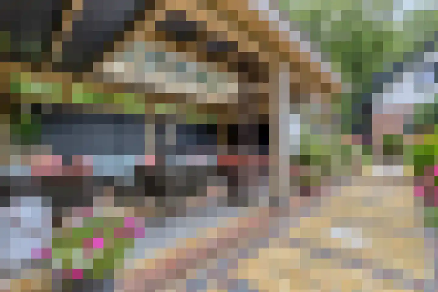 Middenduinerweg 10 Santpoort-Noord thumbnail 64