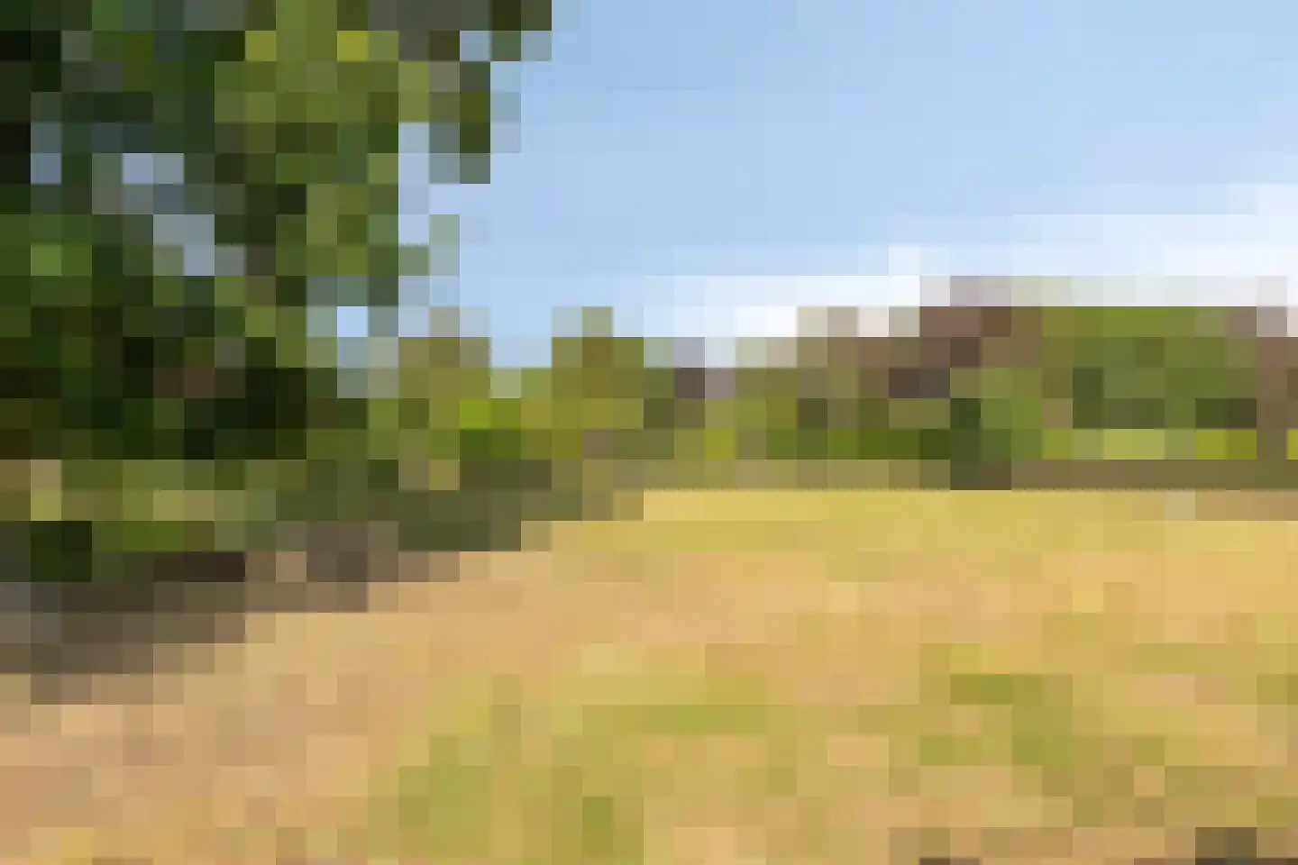 Middenduinerweg 10 Santpoort-Noord thumbnail 85