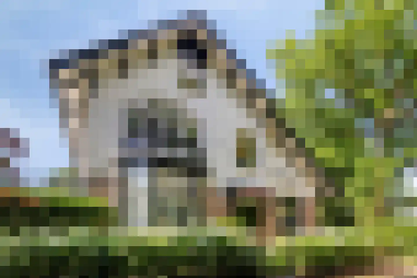 Middenduinerweg 10 Santpoort-Noord thumbnail 86