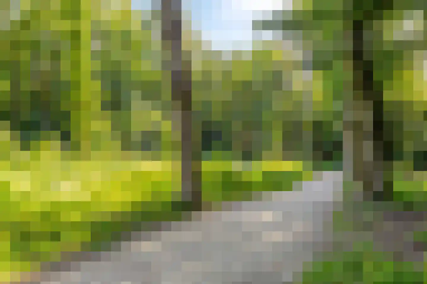 Middenduinerweg 10 Santpoort-Noord thumbnail 88