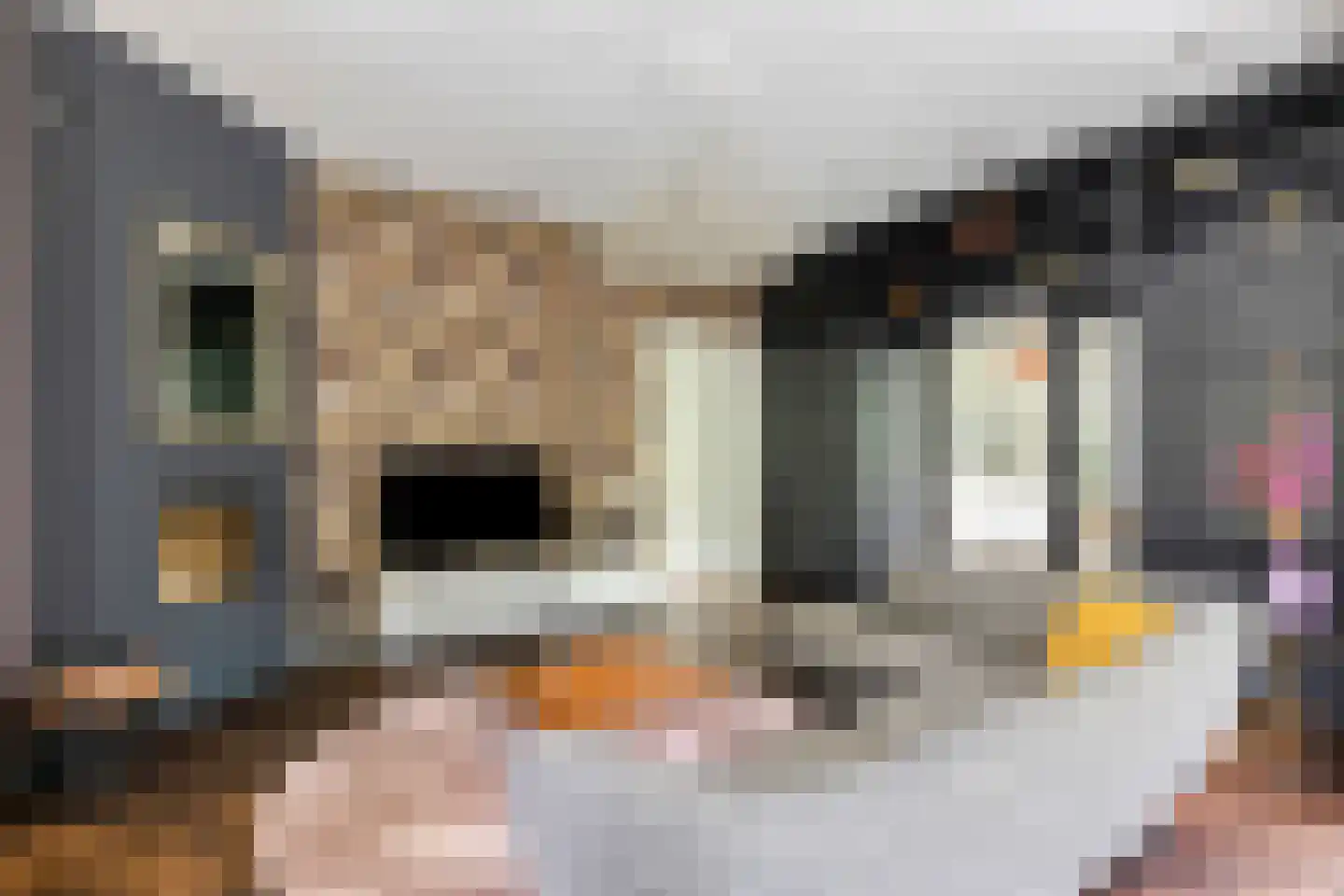 Middenduinerweg 10 Santpoort-Noord thumbnail 9