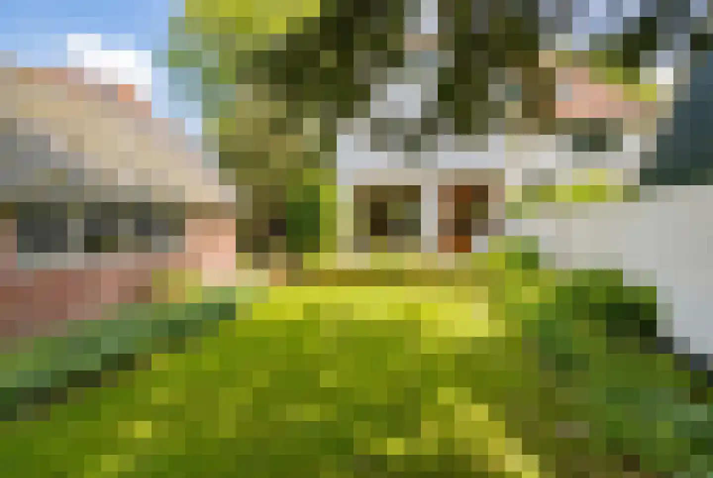 Middenduinerweg 65 Santpoort-Zuid thumbnail 14