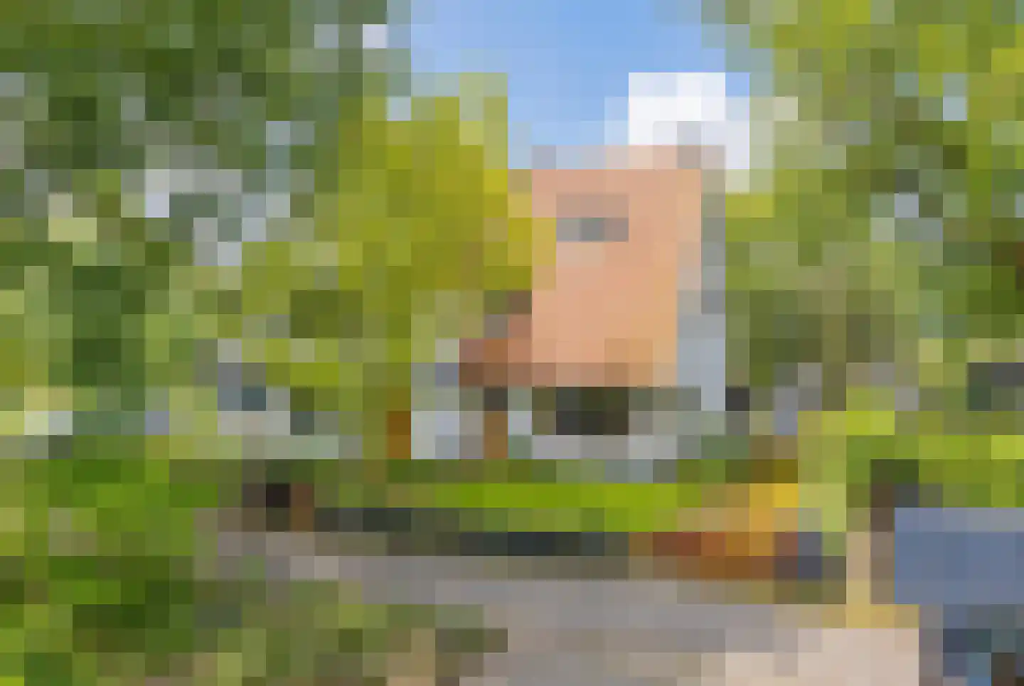Middenduinerweg 65 Santpoort-Zuid thumbnail 51