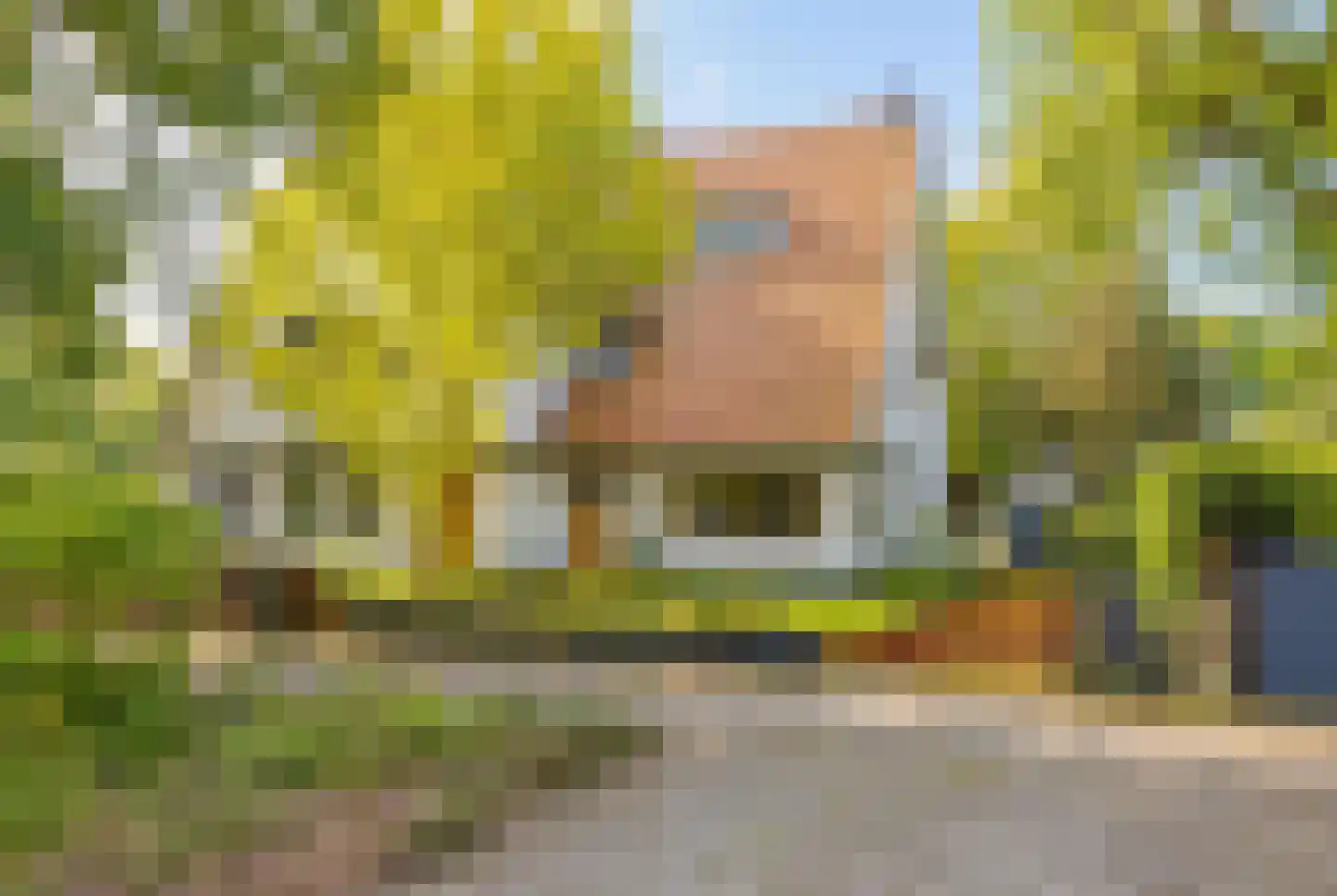 Middenduinerweg 65 Santpoort-Zuid thumbnail 52