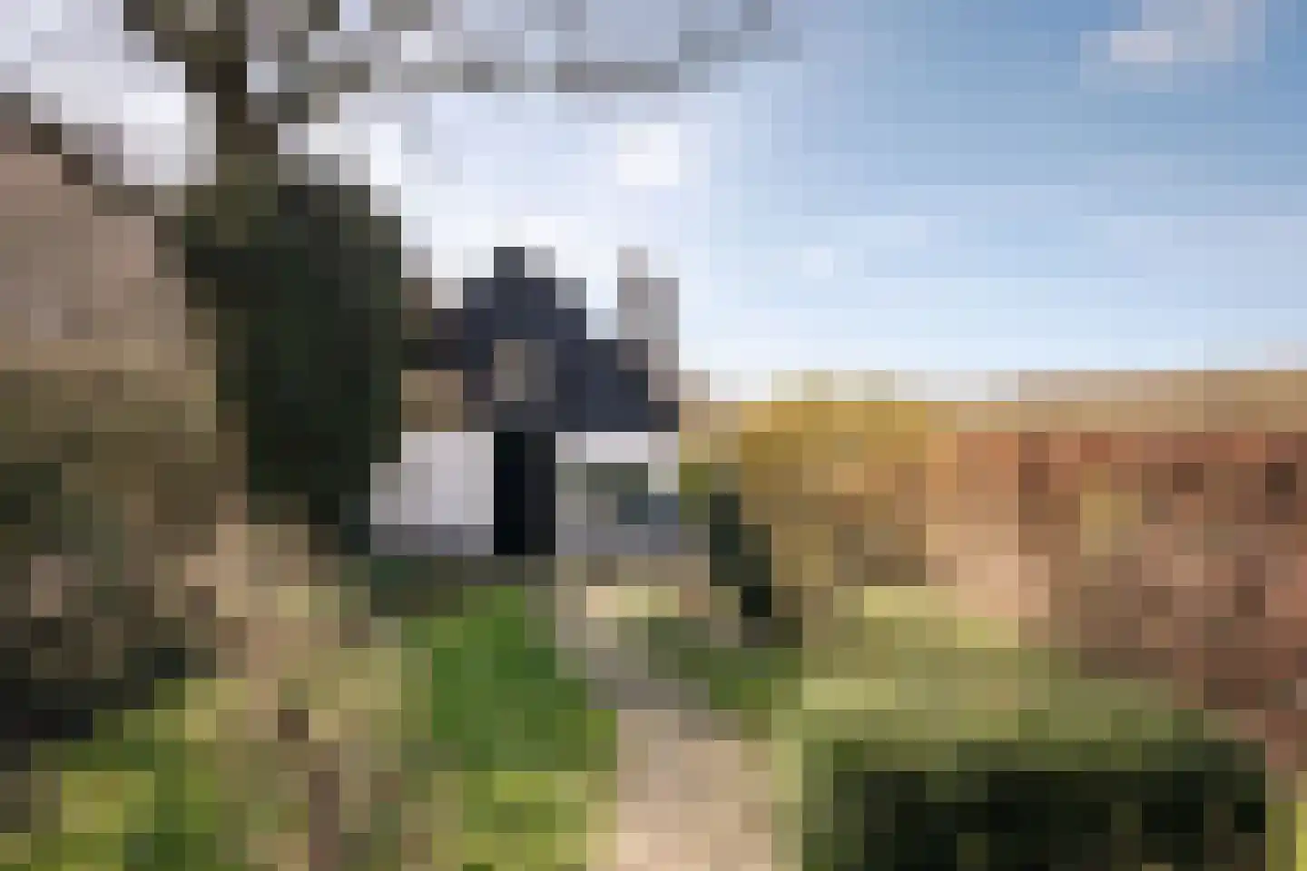 Middenduinerweg 82 Santpoort-Zuid thumbnail 16